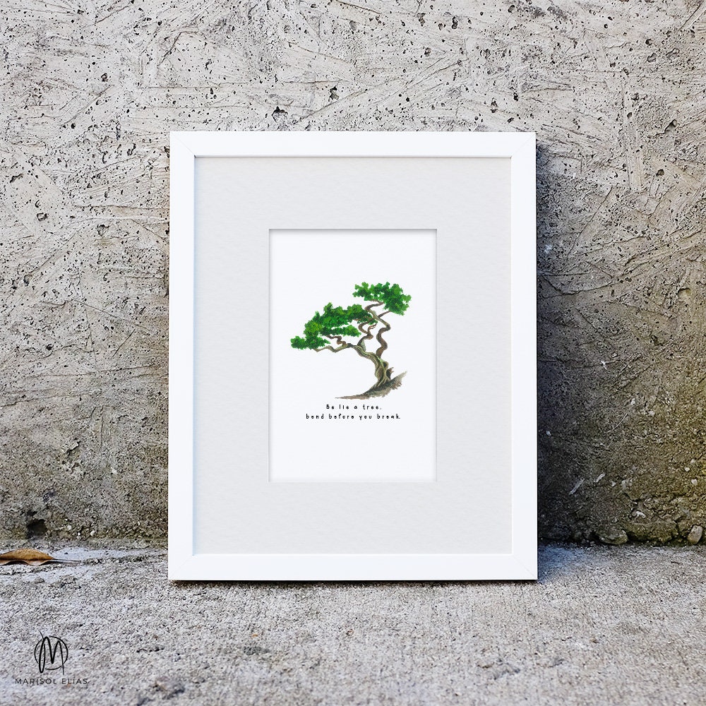 Amazing Bonsai Trees Bonsai Tree Quotes