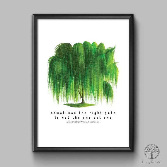 Weeping Willow Tree Quotes Pregnant Health Tips
