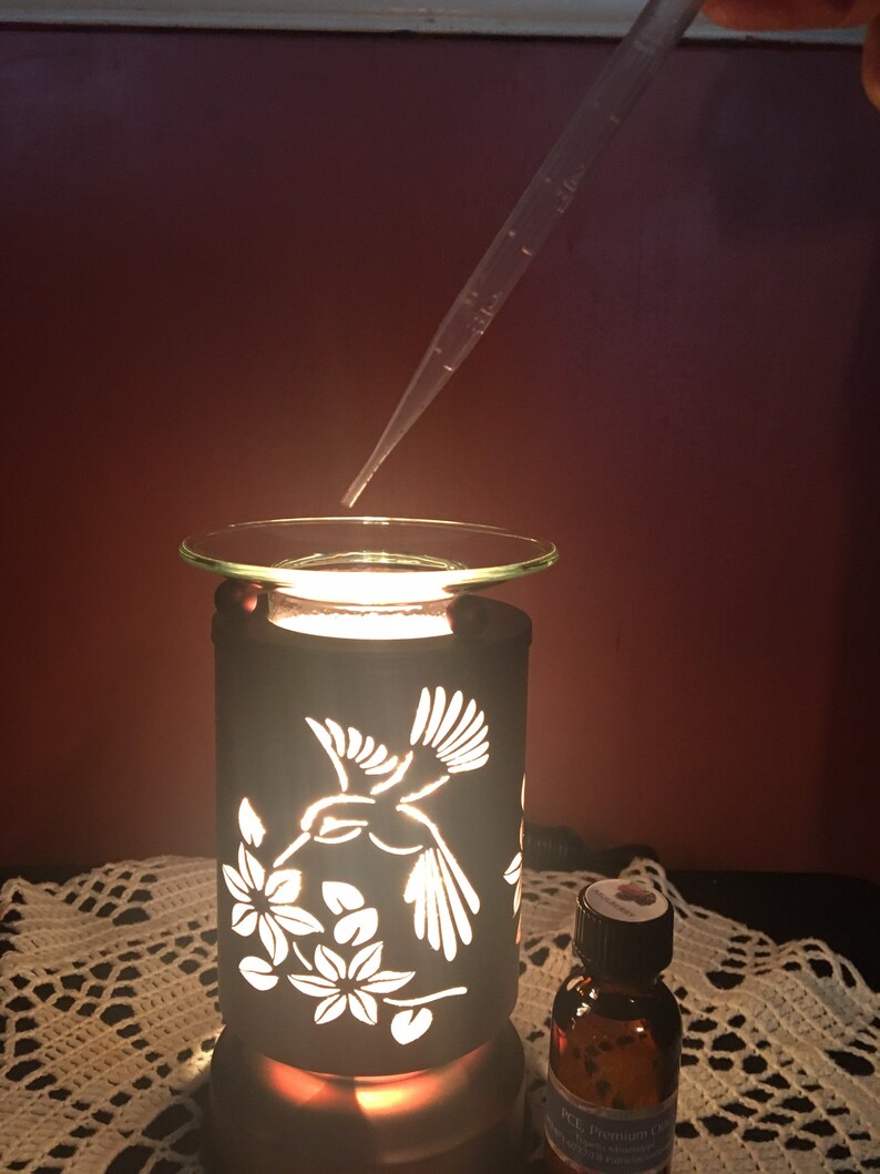 Essential Oils for Fragrance Lamps Oil Burners Kudzu Best Etsy