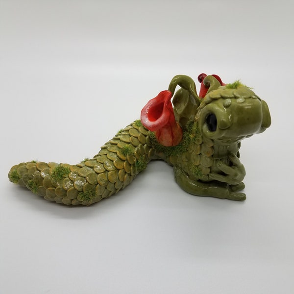 Pitcher Plant Garden Wurm