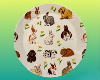 New/ rabbit/ plates/ bunny/ dinner plates/ kitchenware/ childrens plates/ Easter gift/ birthday gifts /bunny rabbit/ plastic plates/cute