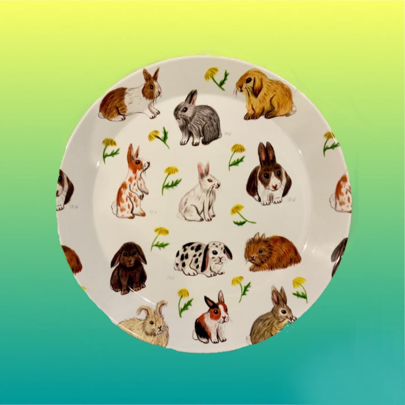New/ rabbit/ plates/ bunny/ dinner plates/ kitchenware/ Etsy