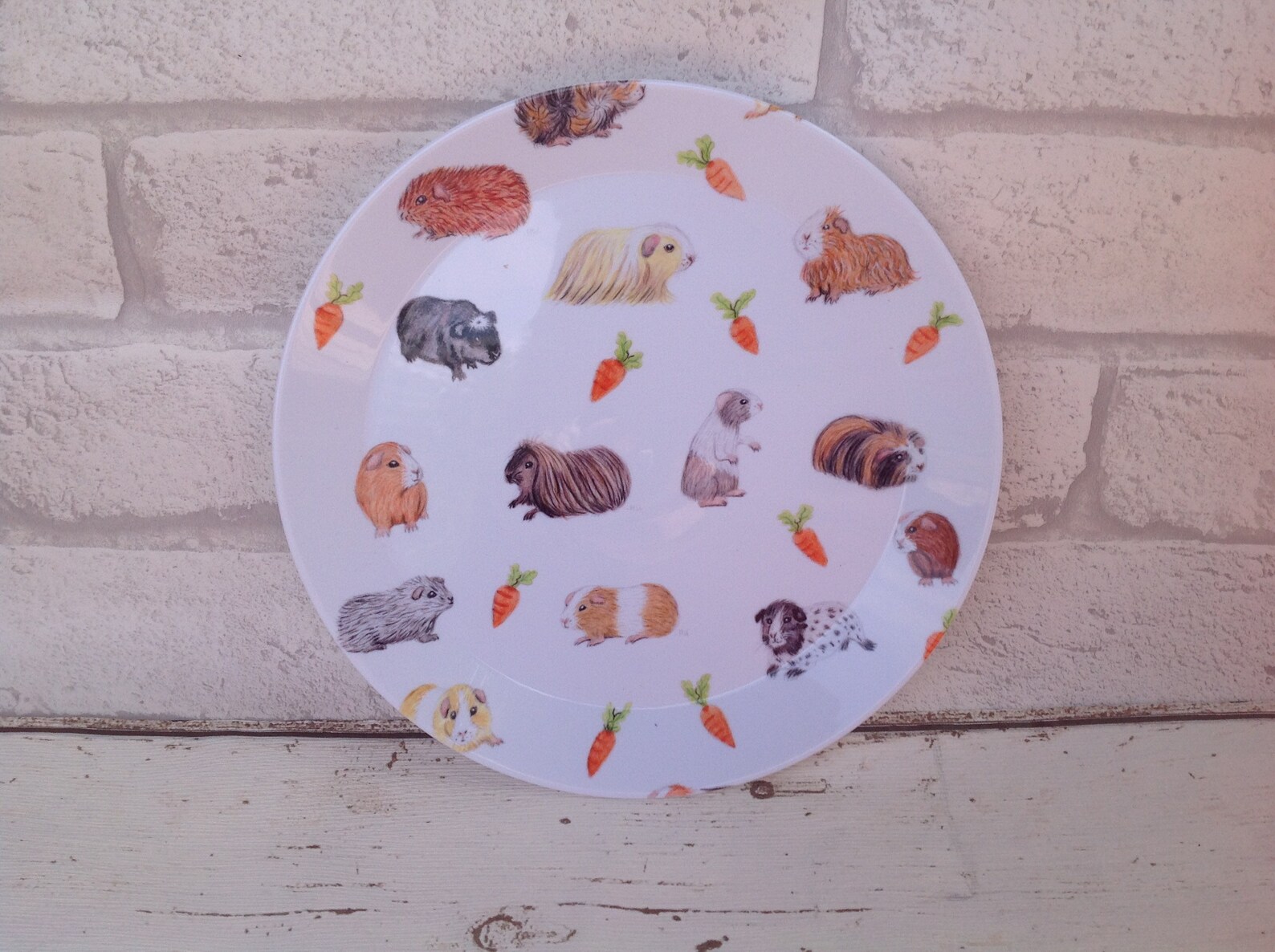 New guinea pig print/ plates/ dinner plates/ kitchenware/ Etsy
