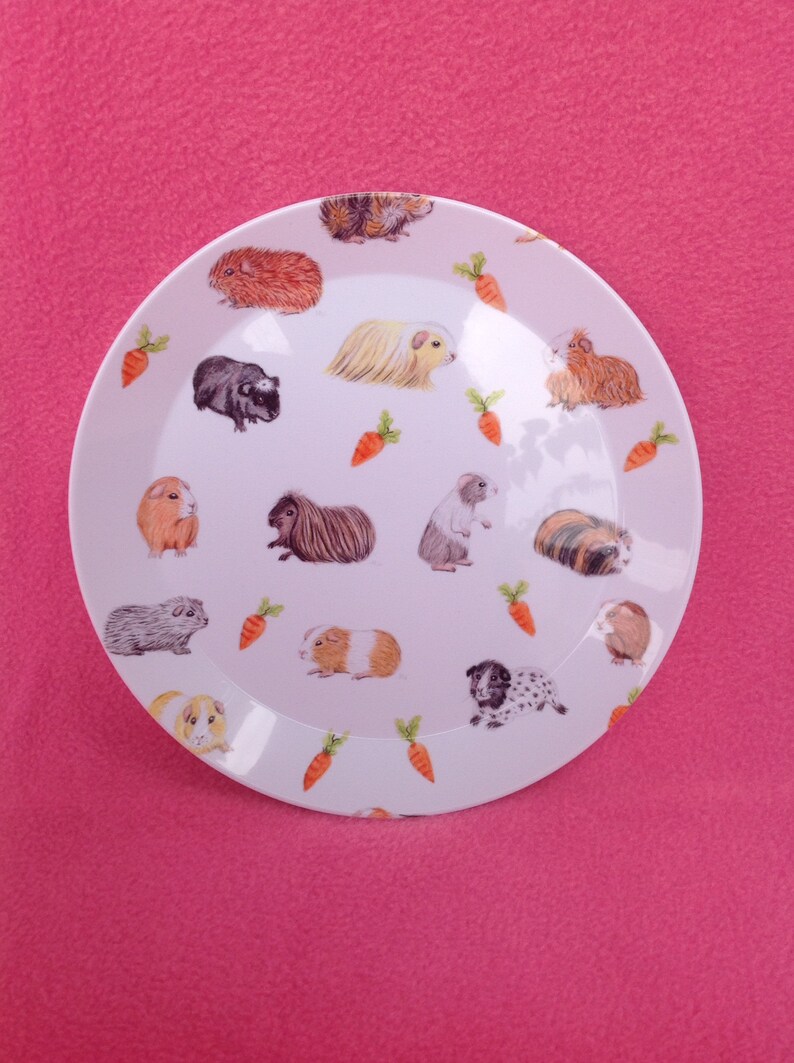 New Guinea Pig Print/ Plates/ Dinner Plates/ Kitchenware/ Etsy UK