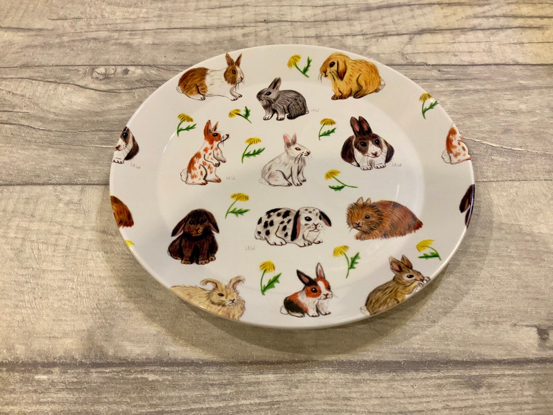 New/ Rabbit/ Plates/ Bunny/ Dinner Plates/ Kitchenware/ Childrens ...
