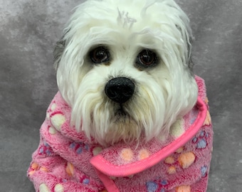 Custom dog replica, plush pet, teddy dog, pet replica, dog memorial, dog urn, pet loss gift, artist bear, soft sculpture, realistic dog