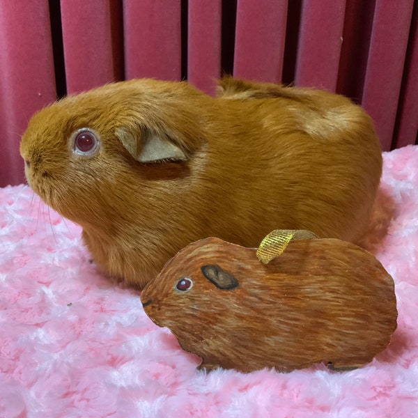 Guinea pig, custom pet portrait, guinea pig personalised ornament, guinea pig accessories, guinea pig gifts, guinea pig painting, pet gifts