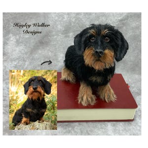 Op de afbeelding: Gedetailleerde sculptuur van een zwart-bruine teckel, met een realistisch uiterlijk. De hond staat op een rood boek, met een kleinere afbeelding van de hond ernaast. De tekst "Hayley Walker Designs" is zichtbaar.
