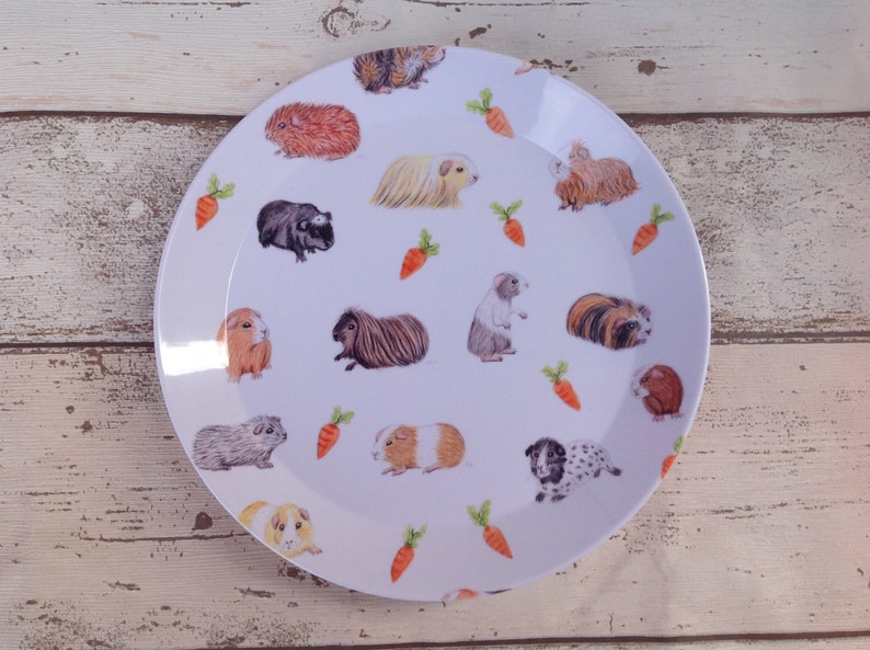 New Guinea Pig Print/ Plates/ Dinner Plates/ Kitchenware/ Etsy UK