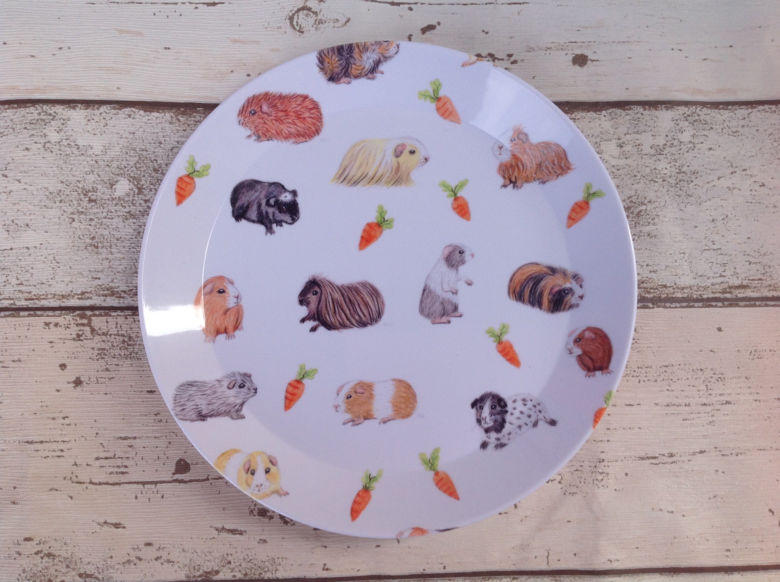New guinea pig print/ plates/ dinner plates/ kitchenware/ Etsy