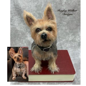 Puede incluir: Una escultura realista de un perro terrier pequeño con pelaje beige y gris, con un collar negro, de pie sobre un libro grueso de color granate. El texto Hayley Walker Designs es visible en la esquina superior derecha, con una pequeña foto de referencia.