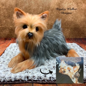 Custom plush dog, dog urn, dog replica, dog memorial, realistic dog, life like dog, dog clone, custom dog plushie, cuddly urn, dog ashes urn