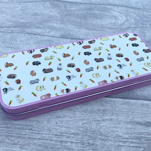 Pencil tin, guinea pig, pencil case, stationery case, guinea pig gifts, school supplies, colouring pencils, office supplies, student gifts