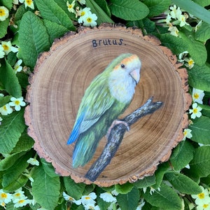 May include: A hand-painted wooden slice with a green and yellow parrot perched on a branch. The parrot is painted in detail and has a light blue tail. The wood slice is labeled "Brutus."