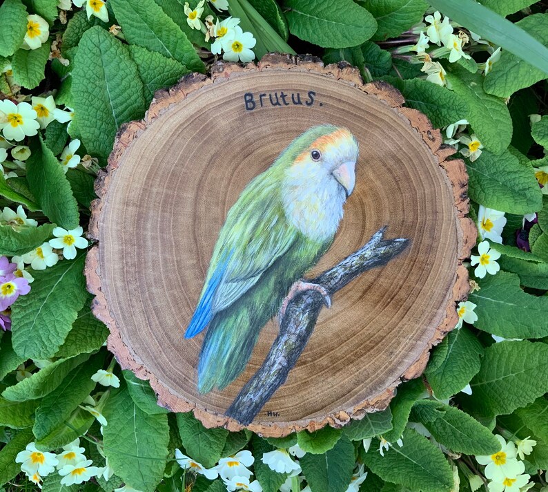 May include: A hand-painted wooden slice with a green and yellow parrot perched on a branch. The parrot is painted in detail and has a light blue tail. The wood slice is labeled "Brutus."