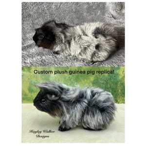 Custom made pet replica, guinea pig, realistic, life size, plushie, soft sculpture, film prop, realistic plush pet, plush guinea pig replica