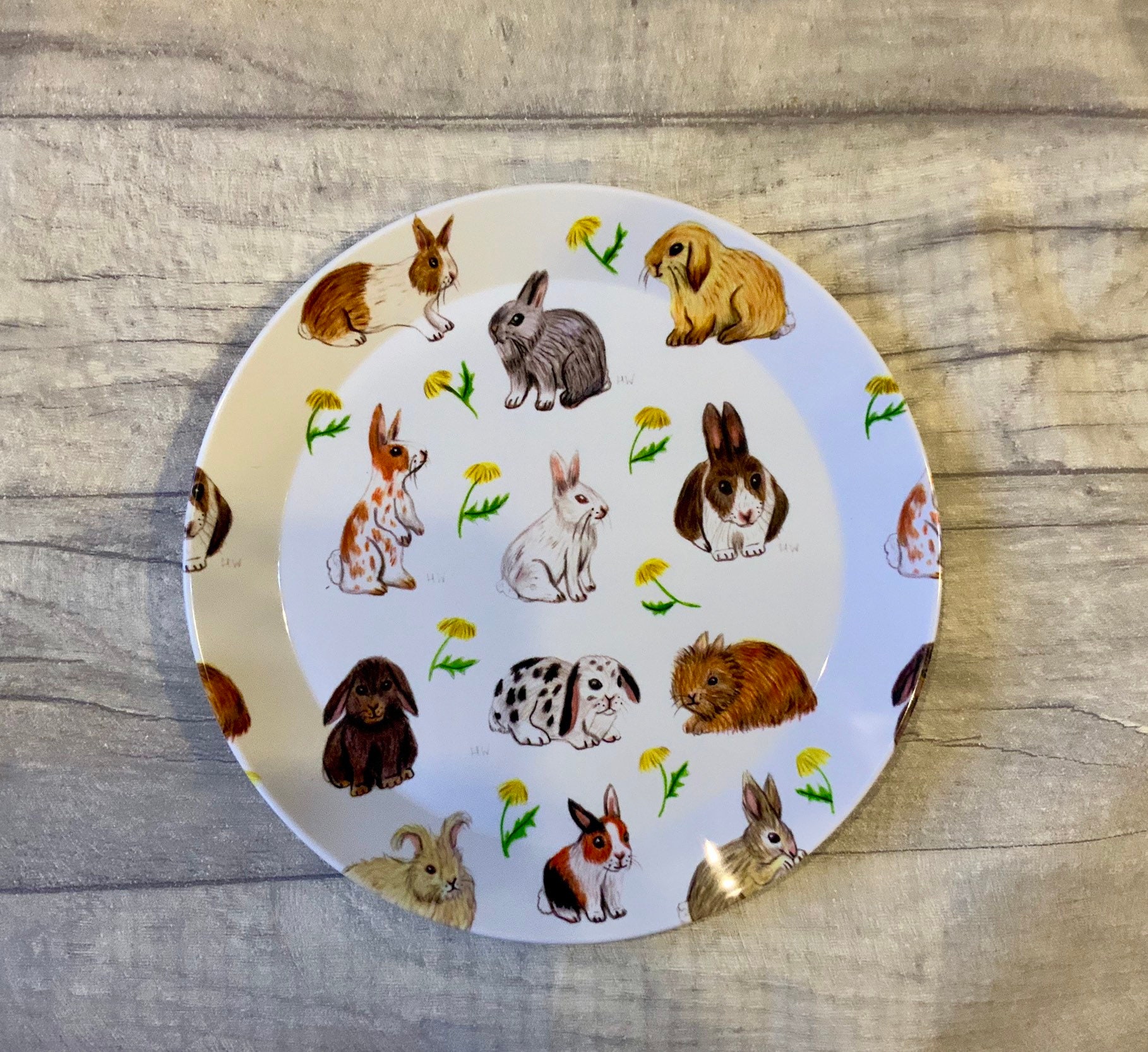 New/ Rabbit/ Plates/ Bunny/ Dinner Plates/ Kitchenware/ Etsy