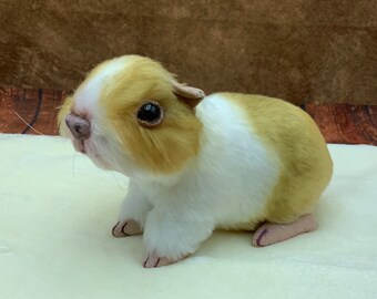 Realistic Handmade Guinea Pig Plush – Custom Order, Poseable