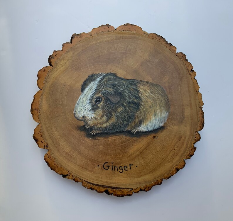 May include: A painted wooden slice with a brown and white guinea pig, named "Ginger", on it.
