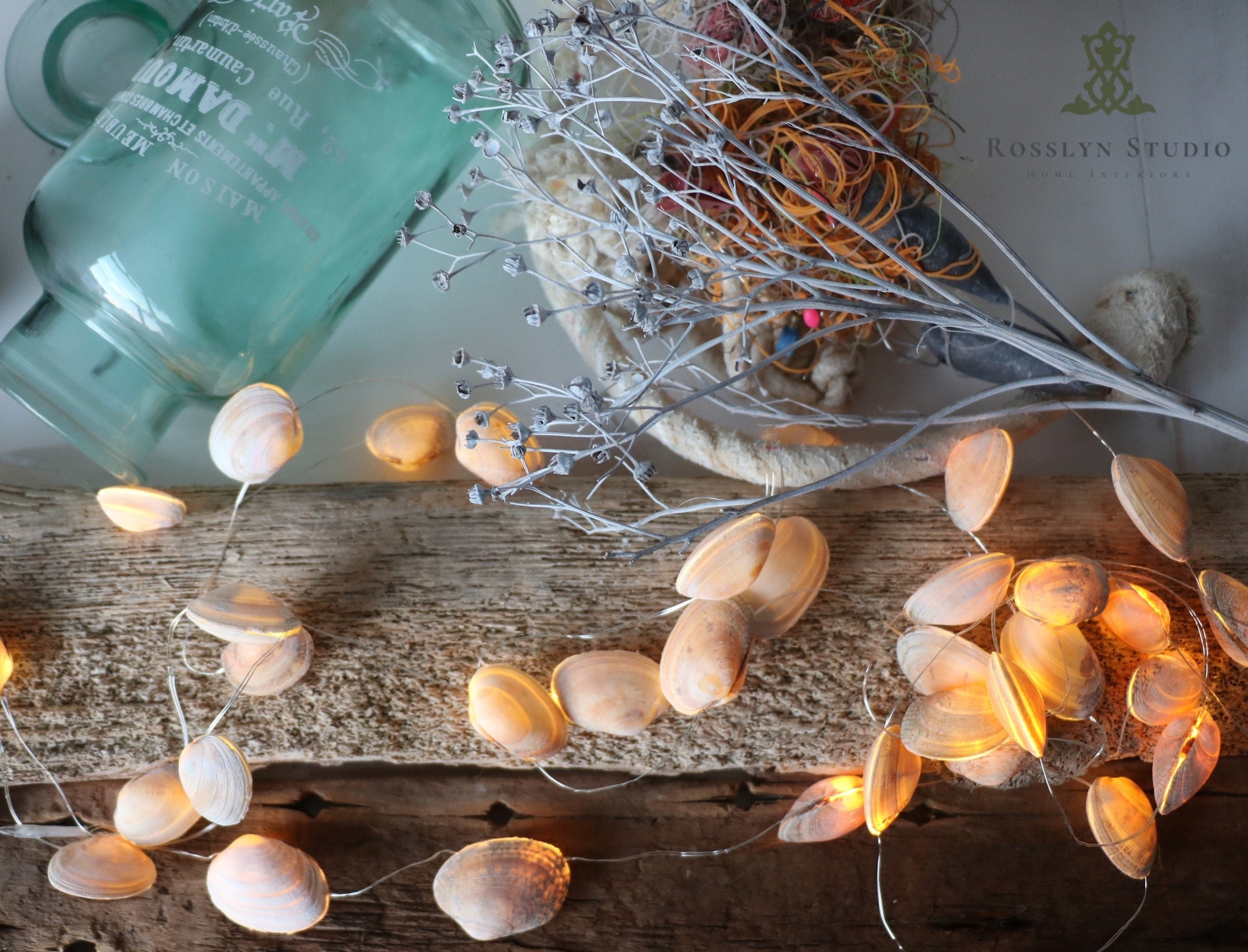 Seashells String Lights Etsy