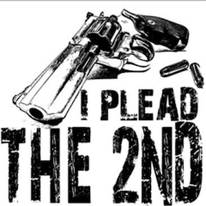 I Plead The 2nd Shirt