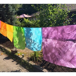 May include: A rainbow of colorful fabric squares hang on a clothesline in a backyard. The squares are dyed in shades of red, orange, yellow, green, blue, and purple.