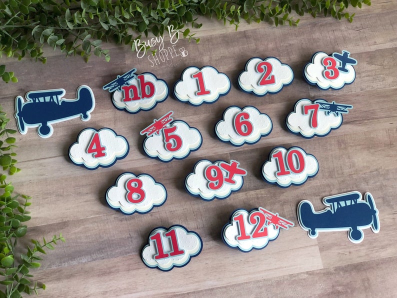 Airplane Monthly Milestone Banner Vintage Airplane Photo - Etsy