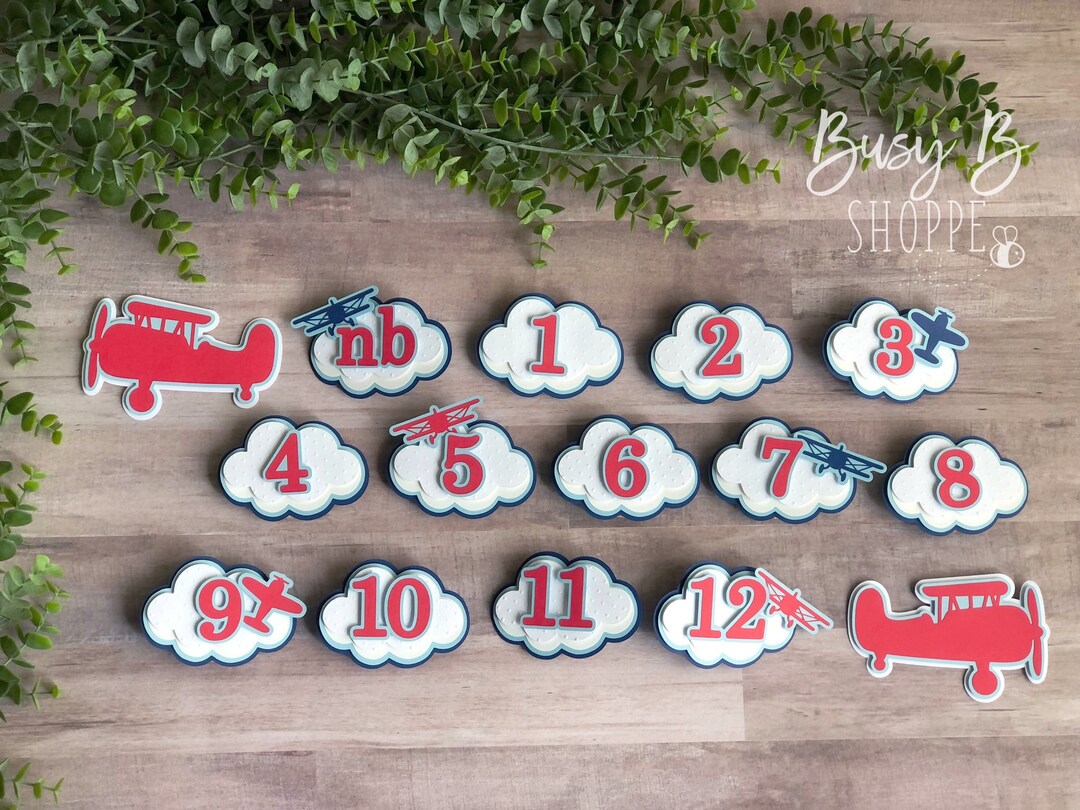 Airplane Monthly Milestone Banner | Vintage Airplane Photo Banner ...