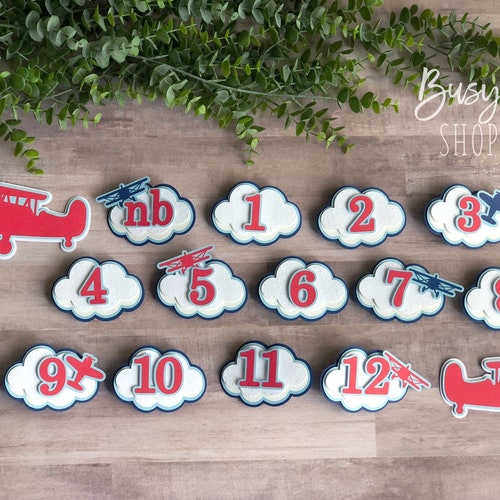 Airplane Monthly Milestone Banner Vintage Airplane Photo - Etsy
