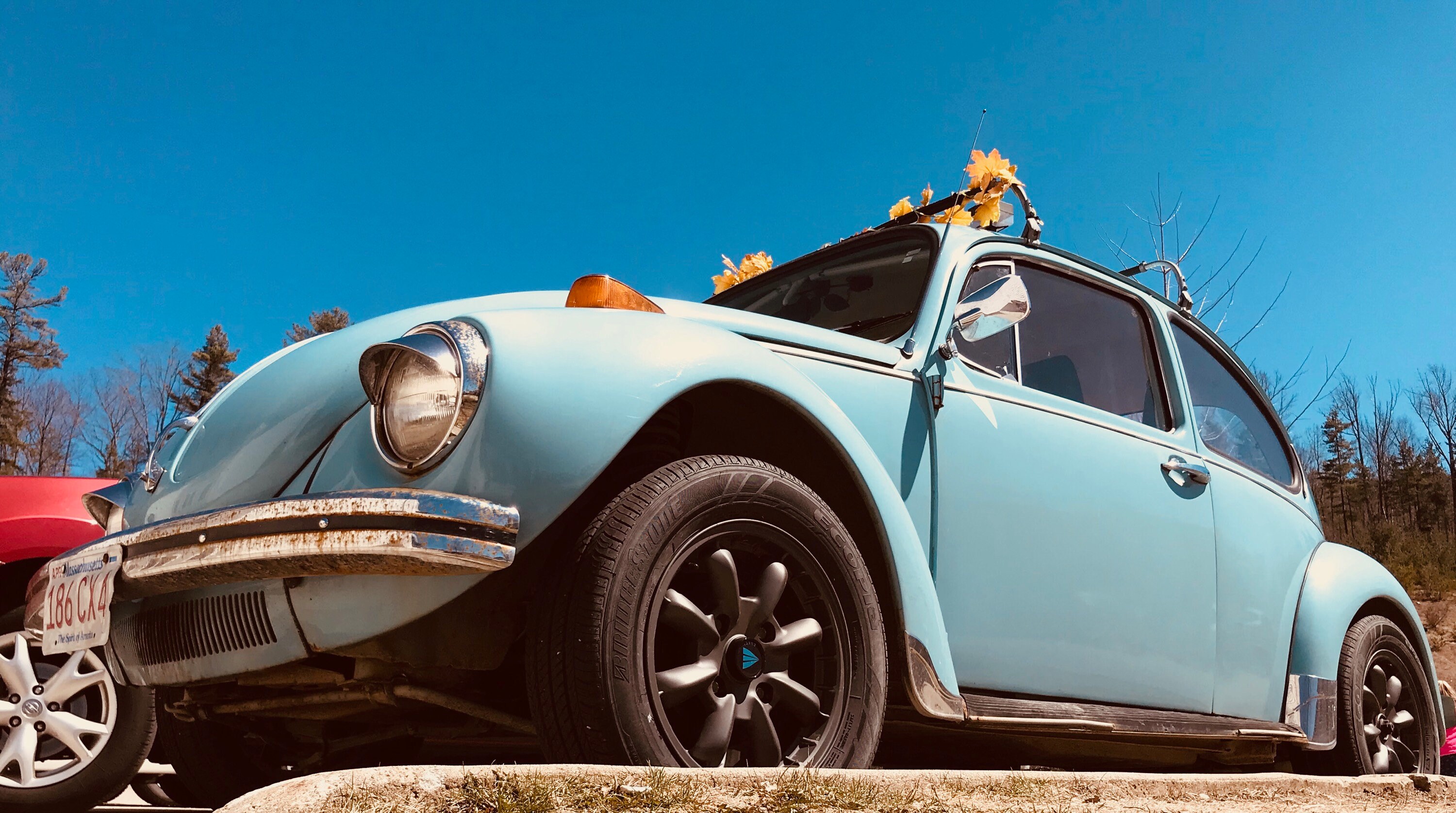 Punch Buggy Car >> Punch Buggy Print By Logan Punch Buggy Car >> Punch Buggy Print By Logan