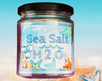 H2O Sea Salt 8 oz Glass Candle Jar  , Disney Inspired Candle Magic Kingdom Cruelty free and vegan