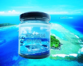 Soarin's flight over Fiji 8 oz Glass Cande Jar , Disney Inspired Candle Epcot cruelty free and vegan Soarin