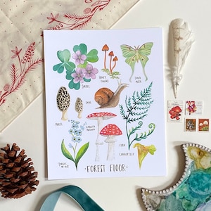 May include: A watercolour illustration of a forest floor featuring various plants and mushrooms. The illustration includes a snail, a luna moth, a forget-me-not flower, a sorrel plant, a honey fungus, a morel mushroom, an amanita muscaria mushroom, a fern, and a chanterelle mushroom. The text "FOREST FLOOR." is written at the bottom of the illustration.