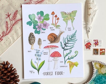 Mushrooms Forest Floor art PRINT forest art nature art gift for nature lover ferns mushrooms plants botanical watercolor print boho gallary