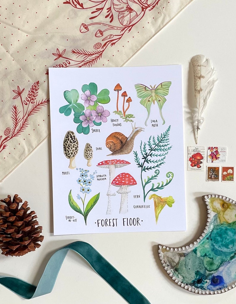 May include: A watercolour illustration of a forest floor featuring various plants and mushrooms. The illustration includes a snail, a luna moth, a forget-me-not flower, a sorrel plant, a honey fungus, a morel mushroom, an amanita muscaria mushroom, a fern, and a chanterelle mushroom. The text "FOREST FLOOR." is written at the bottom of the illustration.
