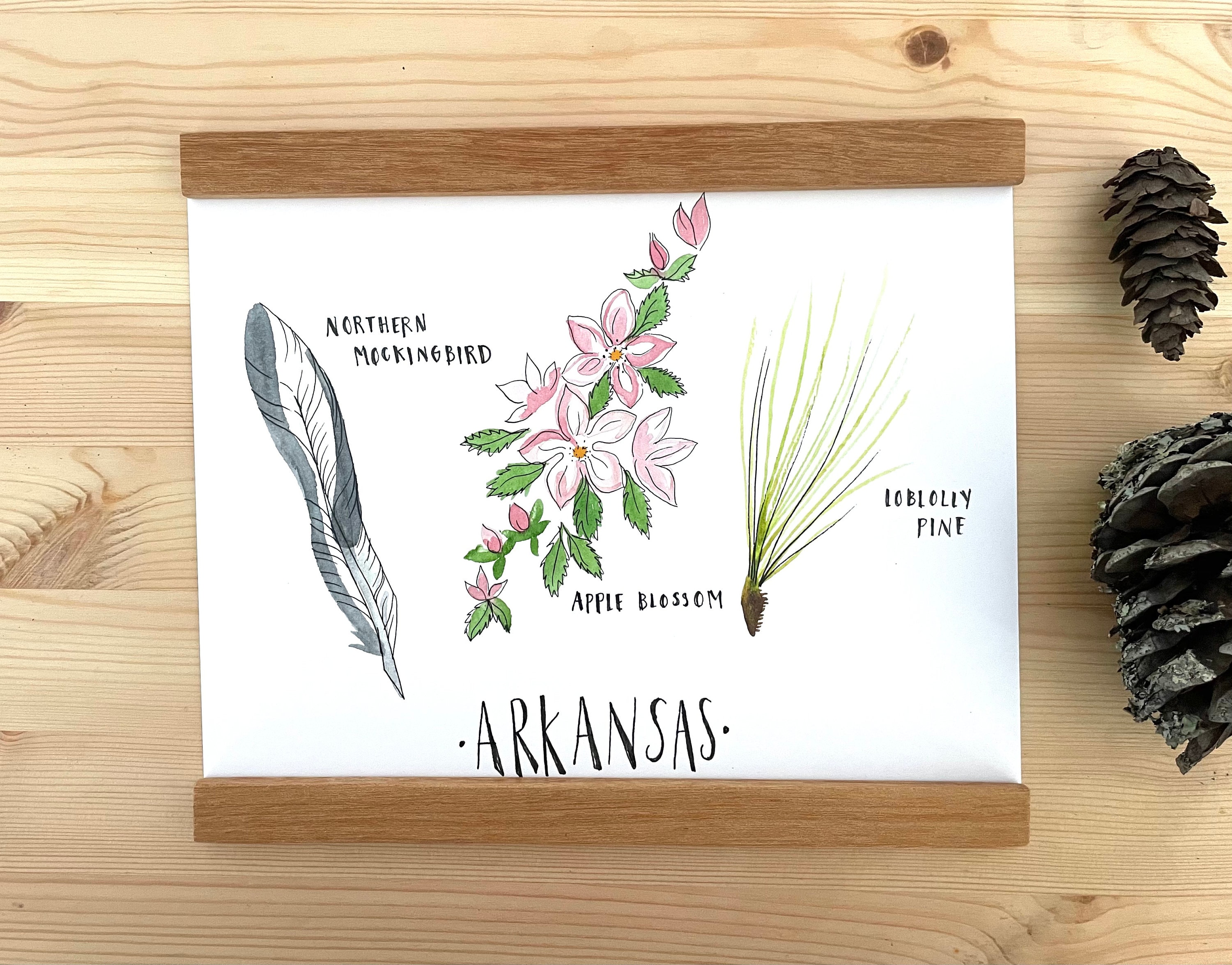 Arkansas State Flower State Bird State Tree Botanical Watercolor Art ...