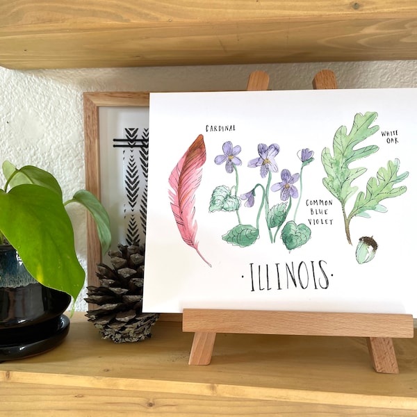 Illinois state flower state tree state bird watercolor art print botanical illustration state watercolor Illinois Chicago housewarming gift