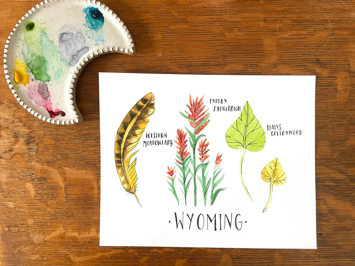 Wyoming State Flower State Tree State Bird Art Print Botanical - Etsy UK