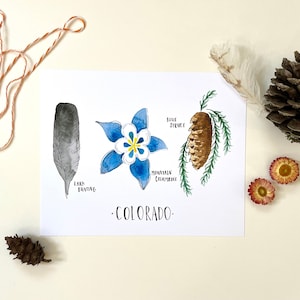Colorado State Tree, Flower, Bird Art Print botanical watercolor art print wall hanging state print colorado flower columbine flower art