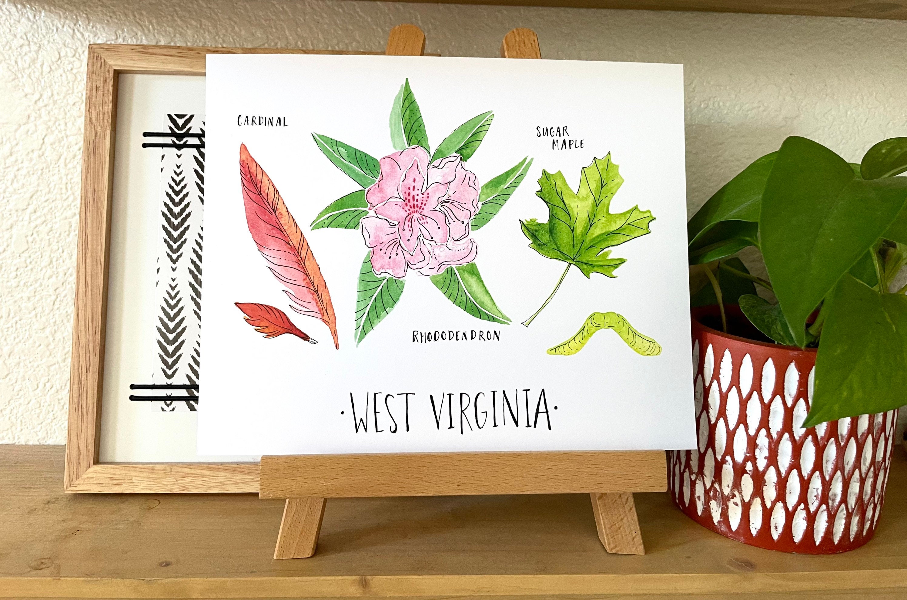 West Virginia State Flower State Tree State Bird WV Art Print State Art  Watercolor Botanical Watercolor Hostess Gift - Etsy
