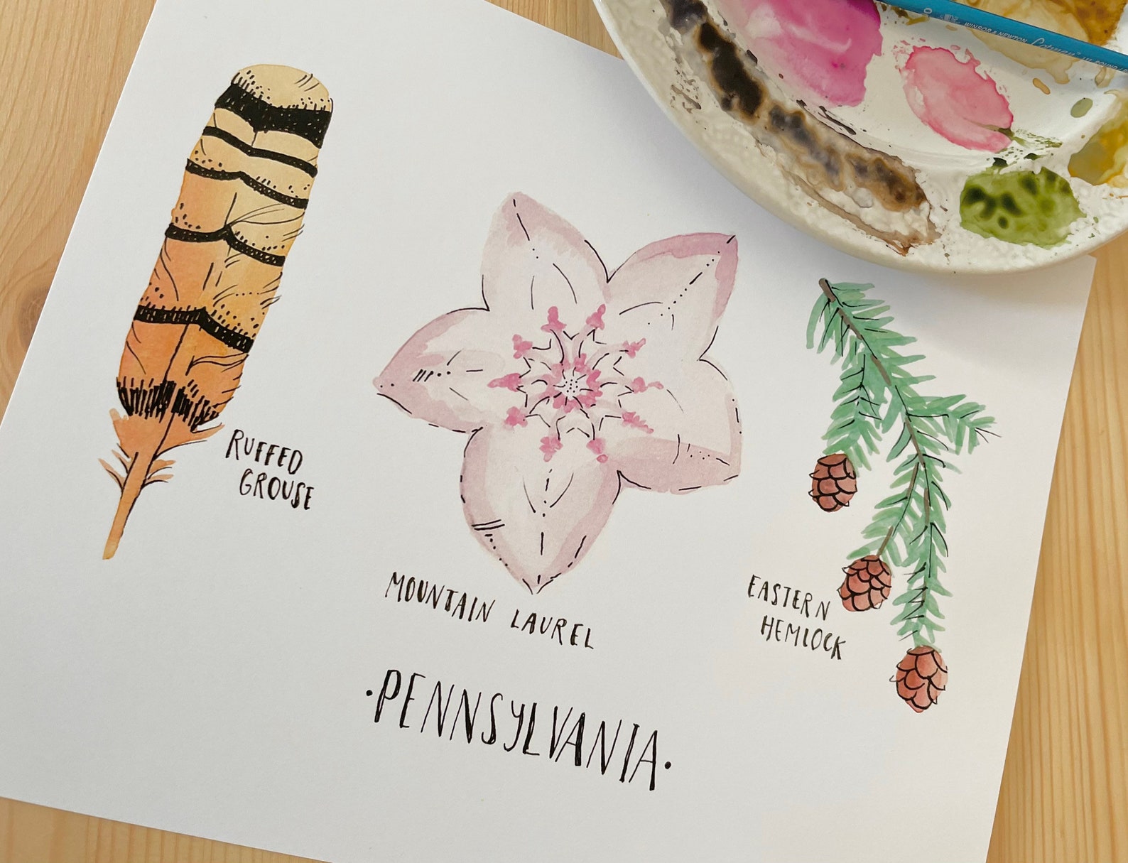 Pennsylvania State Tree Flower Bird Art Print State Flower - Etsy