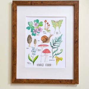 May include: A watercolour illustration of a forest floor featuring various plants and fungi. The illustration includes a snail, a fern, a mushroom, a forget-me-not flower, a clover, a honey fungus, a luna moth, and a morel mushroom. The text "FOREST FLOOR" is written at the bottom of the illustration.