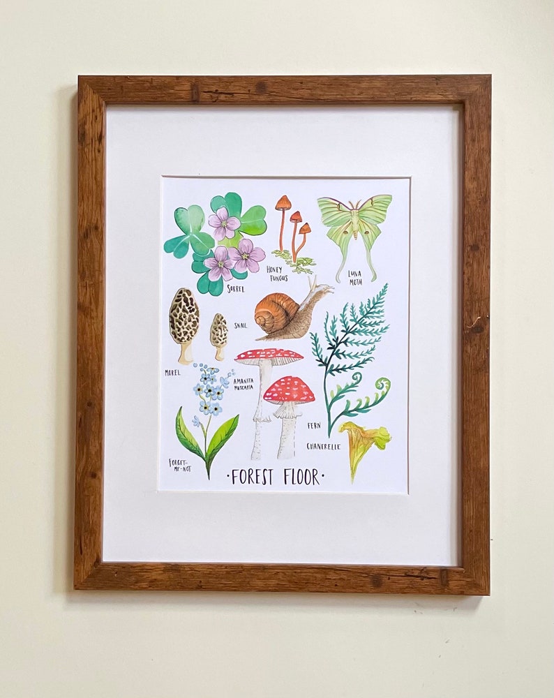 May include: A watercolour illustration of a forest floor featuring various plants and fungi. The illustration includes a snail, a fern, a mushroom, a forget-me-not flower, a clover, a honey fungus, a luna moth, and a morel mushroom. The text "FOREST FLOOR" is written at the bottom of the illustration.