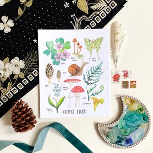 May include: A watercolour illustration of a forest floor featuring various plants and mushrooms. The illustration includes a snail, a luna moth, a honey fungus, a violet flower, a forget-me-not flower, a fern, a morel mushroom, an amanita mushroom, and a chanterelle mushroom. The text "FOREST FLOOR" is written at the bottom of the illustration.