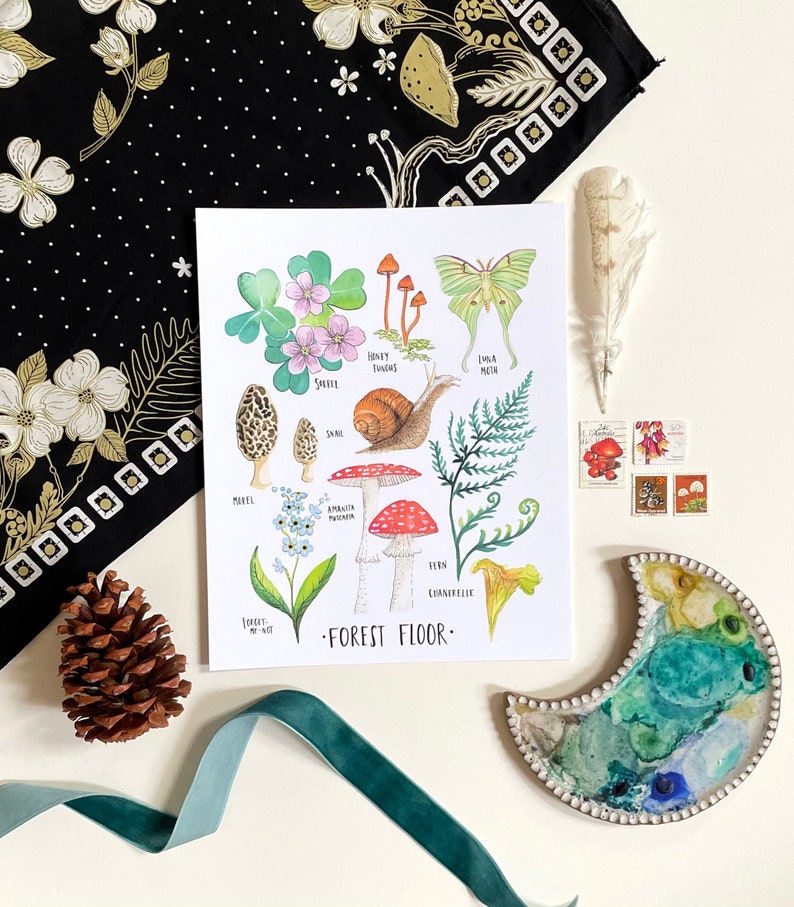 May include: A watercolour illustration of a forest floor featuring various plants and mushrooms. The illustration includes a snail, a luna moth, a honey fungus, a violet flower, a forget-me-not flower, a fern, a morel mushroom, an amanita mushroom, and a chanterelle mushroom. The text "FOREST FLOOR" is written at the bottom of the illustration.