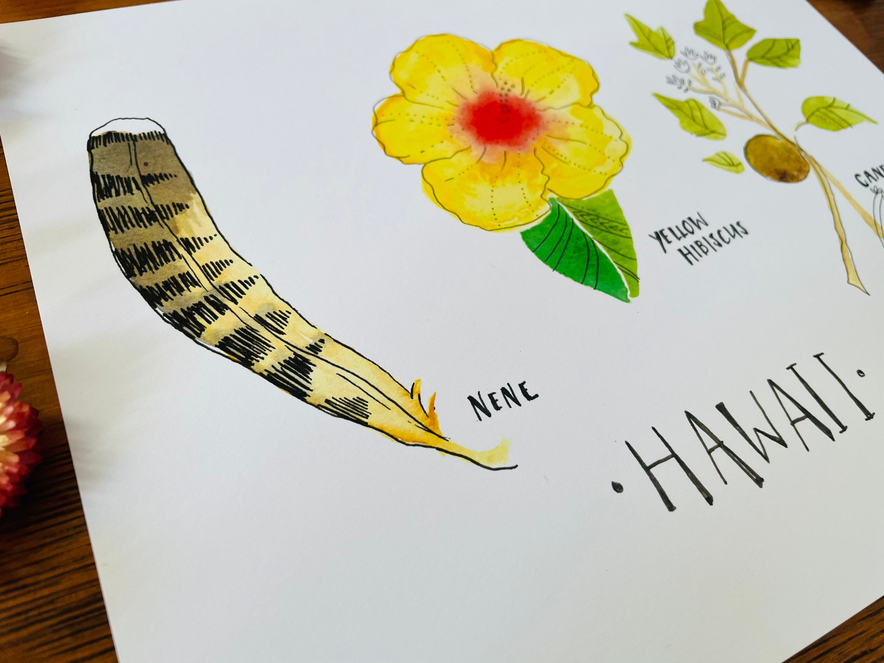 Hawaii state flower state bird state tree art print botanical - Etsy ...