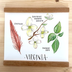 Virginia state flower state bird state tree art dogwood watercolor botanical painting print of an original 8 x10 state art print gift