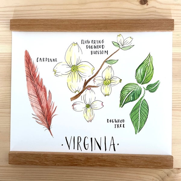 Virginia state flower state bird state tree art dogwood watercolor botanical painting print of an original 8 x10 state art print gift