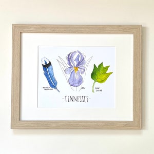 Tennessee state flower, bird, and tree print watercolor wall art print hostess housewarming gift botanical state prints southern botanical