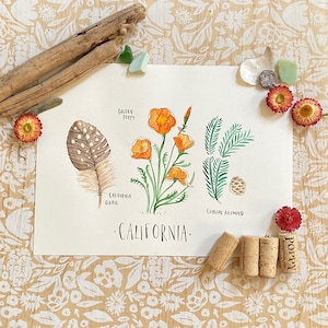 California art print state flower state bird state tree Redwood California Poppy Poppies Quail art print LA San Francisco watercolor hostess